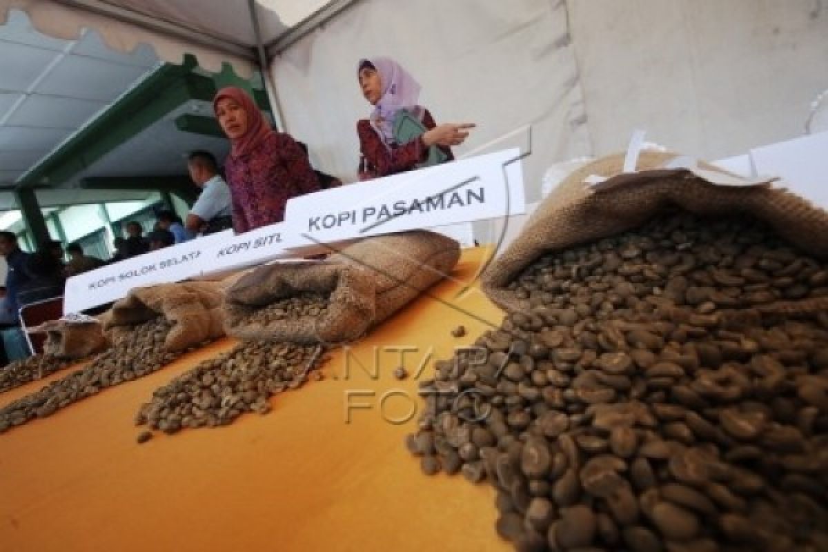 Usaha "Marandang" Kopi Pendorong Ekonomi Warga Bukit Apit