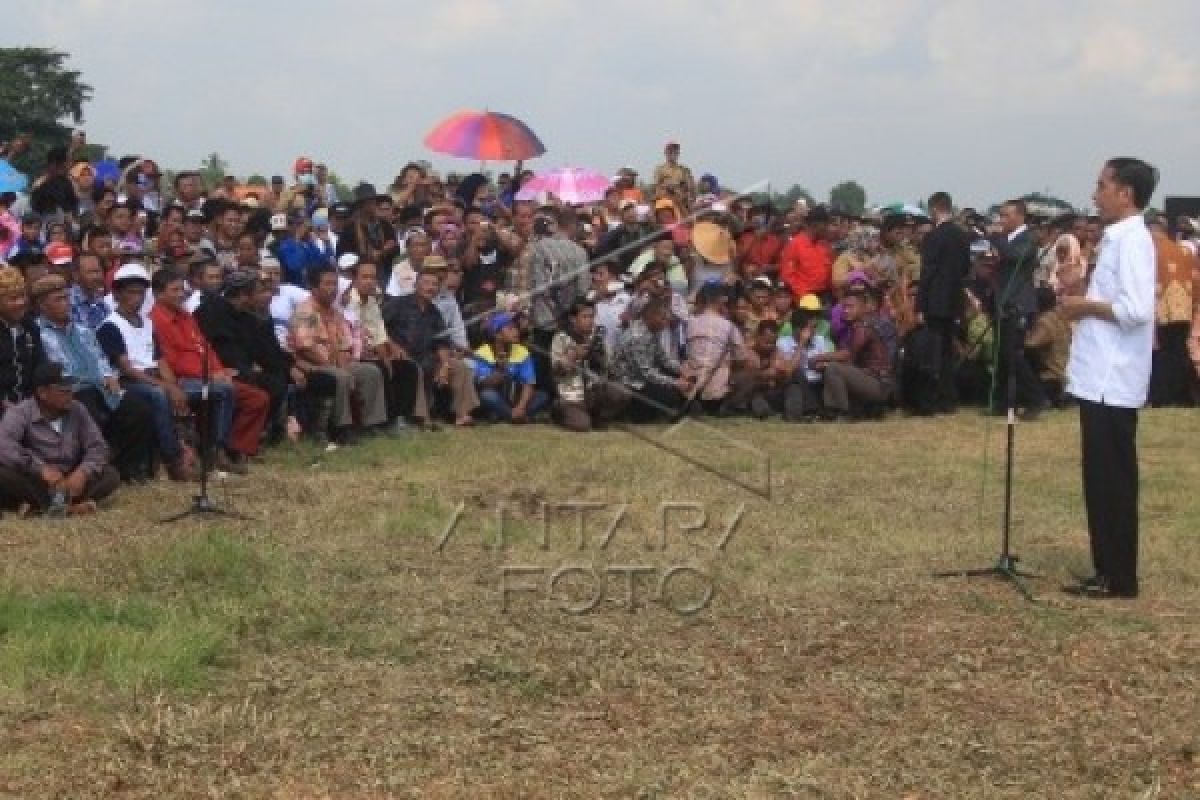 Presiden Bahas Banjir Indramayu Di Rumah Petani Oleh Joko