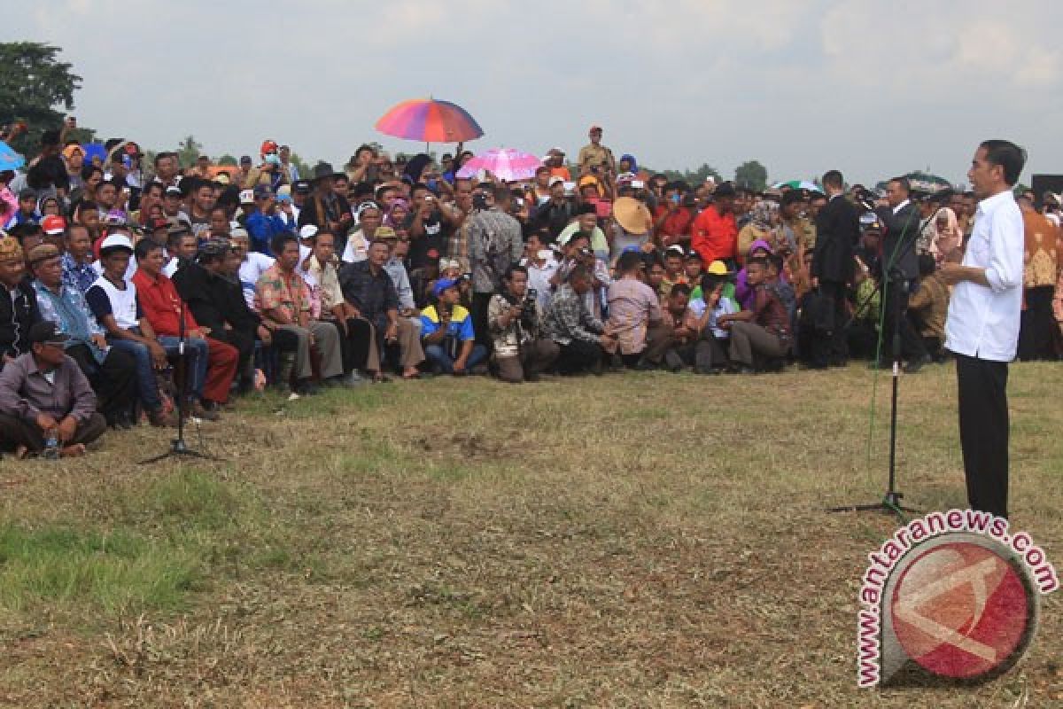 Presiden Jokowi putuskan HPP jagung