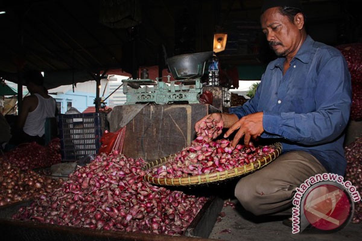 Indonesia`s red onion production predicted to reach 1.14 million tons