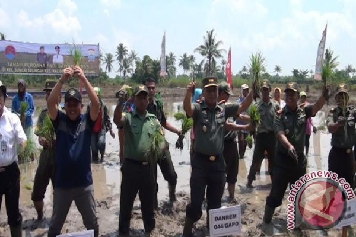 Babinsa dilatih budidaya padi