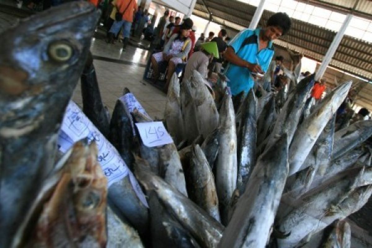 Aktivitas Lelang Ikan TPI Pekalongan Sepi