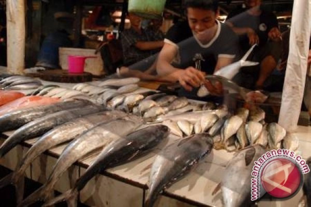 Pedagang Timika datangkan ikan dari Maluku