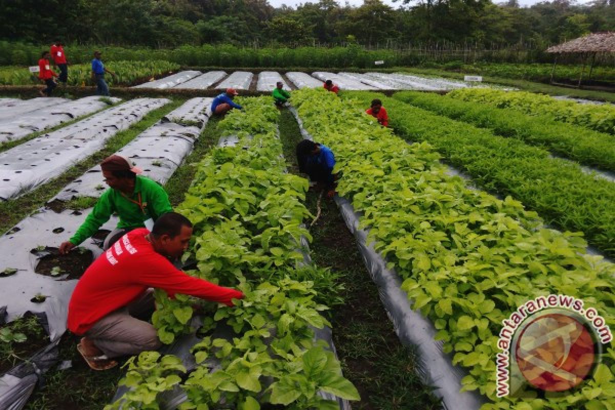 Meluruhkan pengaruh candu di hutan konservasi 