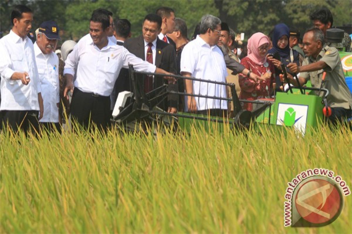 Presiden Jokowi panen raya padi di Sukoharjo