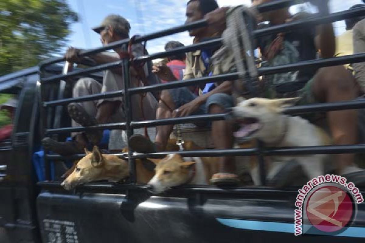 Pemburu serahkan diri setelah tahu manusia yang tertembak bukan babi