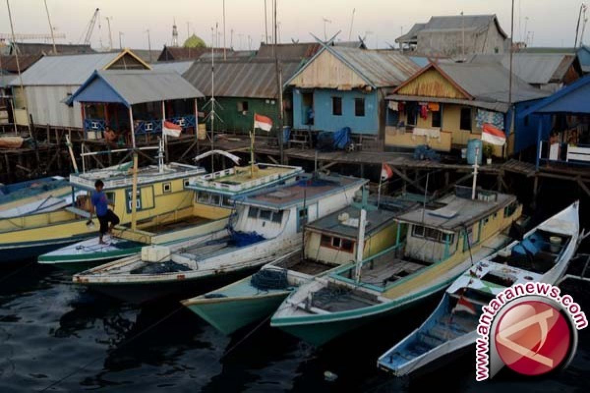 Moratorium izin eks kapal asing untungkan nelayan Merauke