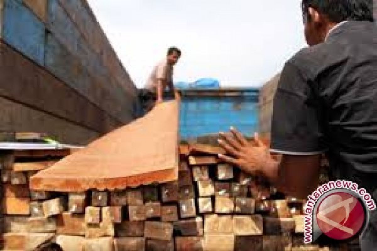 Tim Gakkum KLHK tangkap kapal pengangkut kayu illegal di Raja Ampat