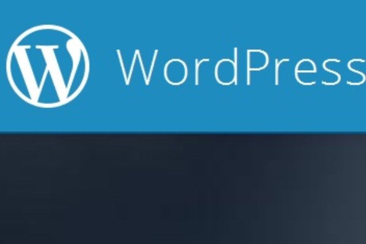 WordPress Tidak Dapat di Akses di Pakistan