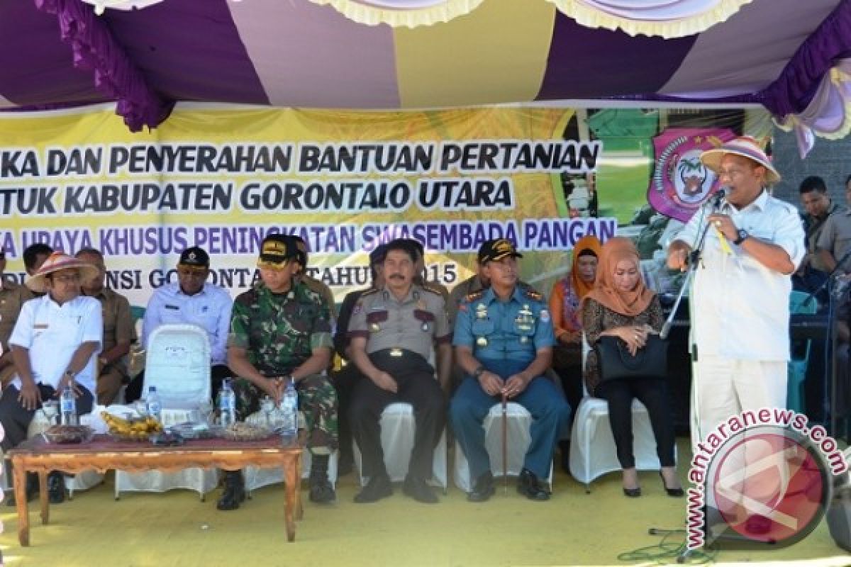 Gubernur Panen Raya Padi Di Gorontalo Utara