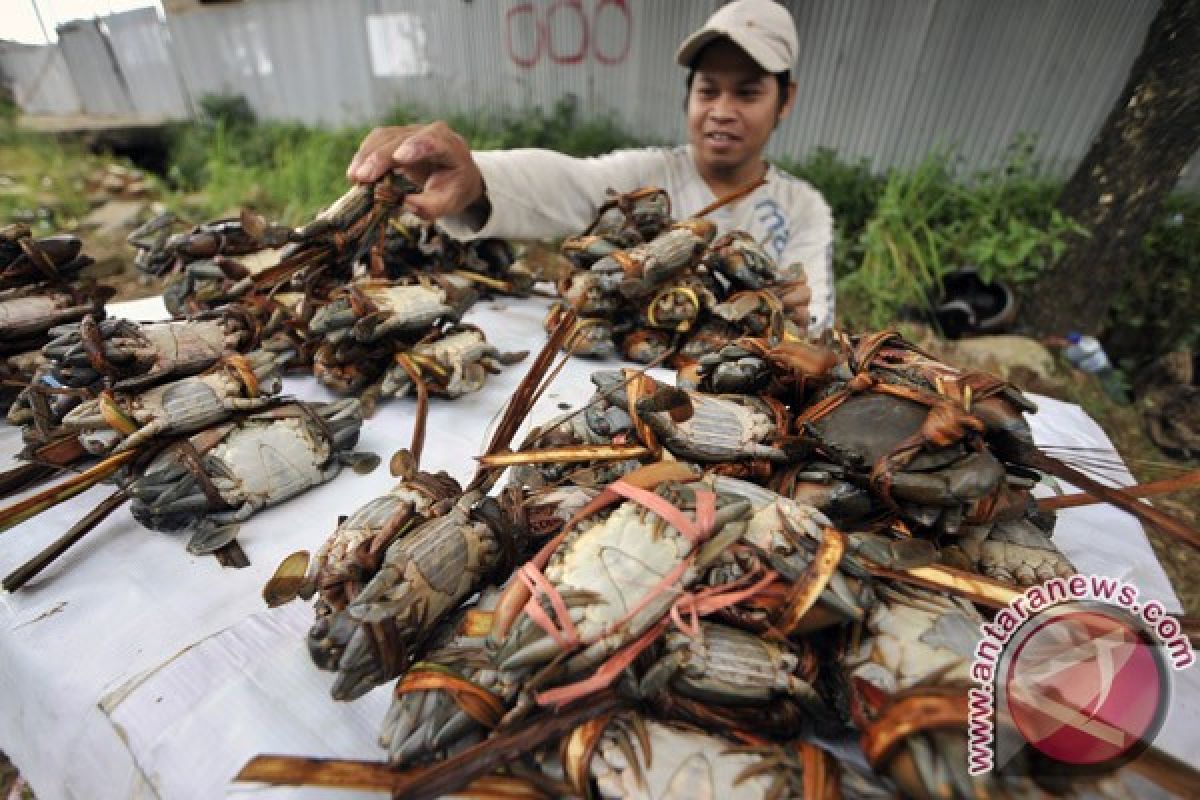 Aparat gagalkan penyelundupan kepiting bertelur ke Malaysia
