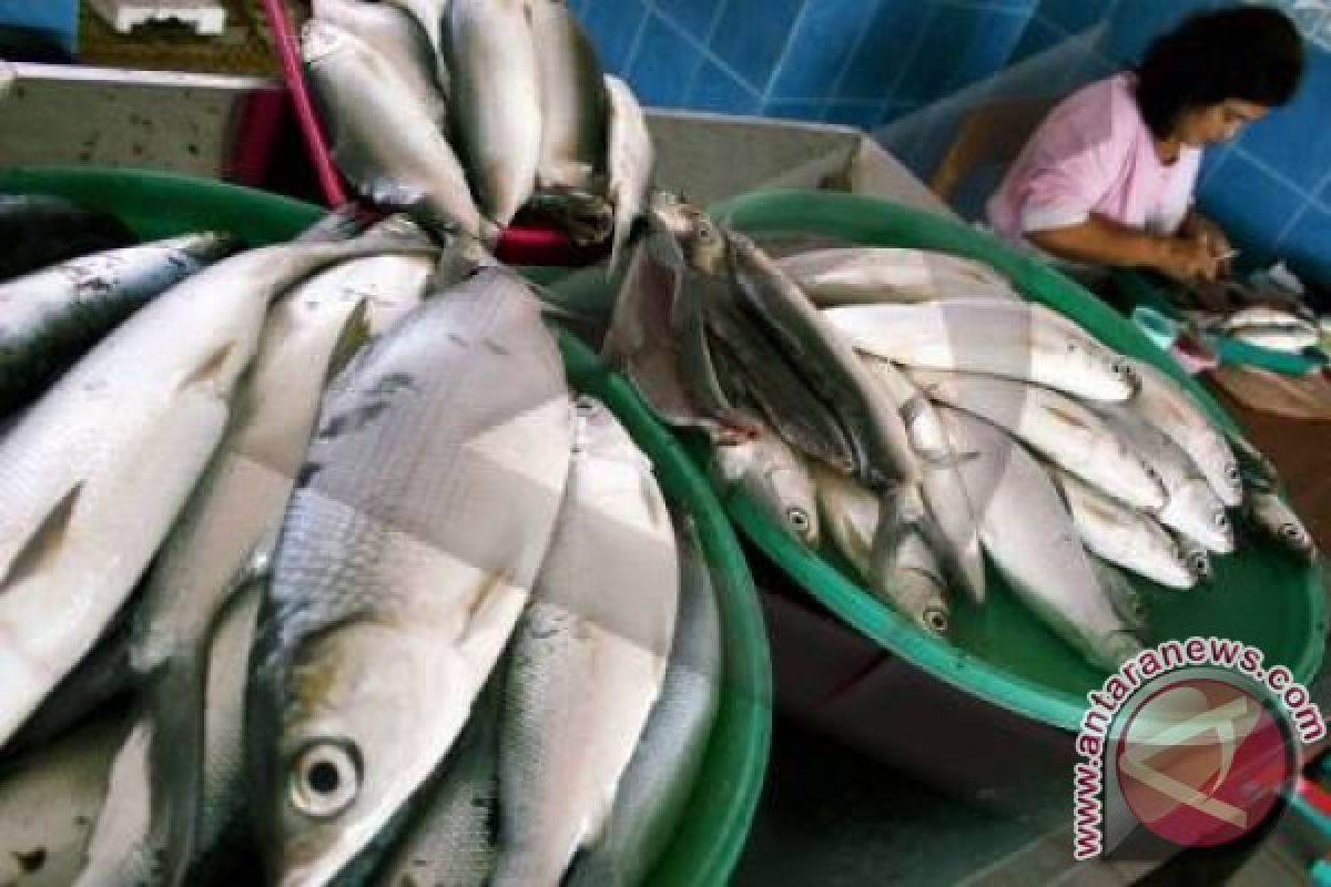 Harga Ikan di Pangkalpinang Naik