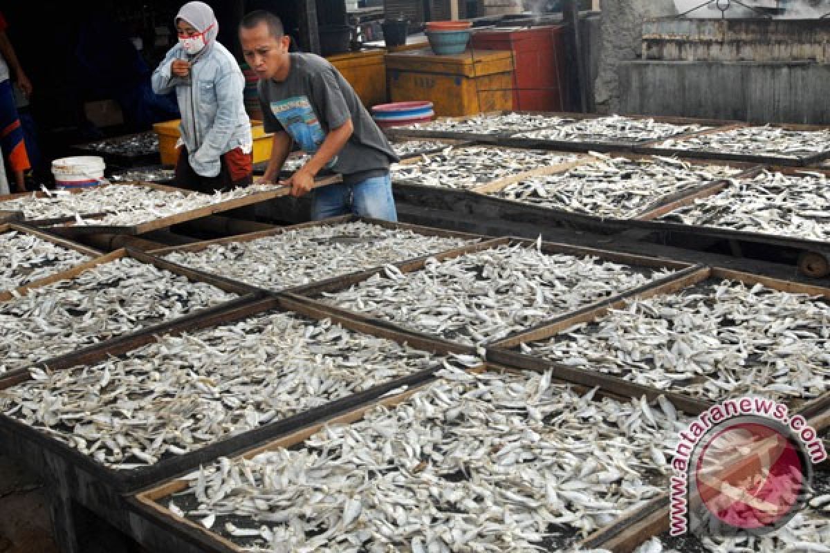 Mahasiswa PNP buat alat pengering ikan asin terprogram