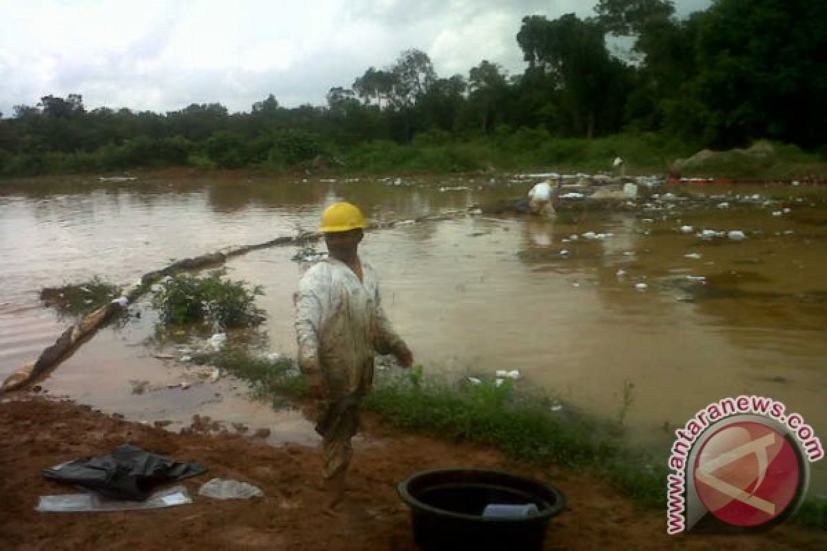 Tumpahan minyak kotori kali donan Cilacap