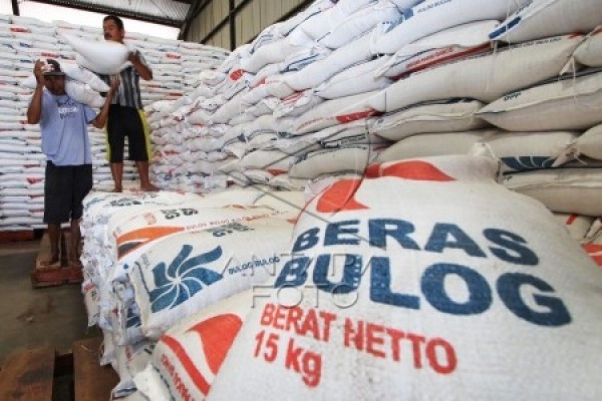 Bukittinggi Bulog Rice Supply Reached 3,000 Tons