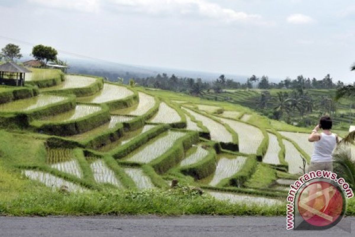 Objek Wisata Jatiluwih-Tabanan Longsor