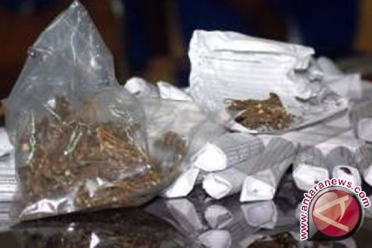 Polisi Jayapura tangkap Warga PNG pembawa 700 gram ganja 