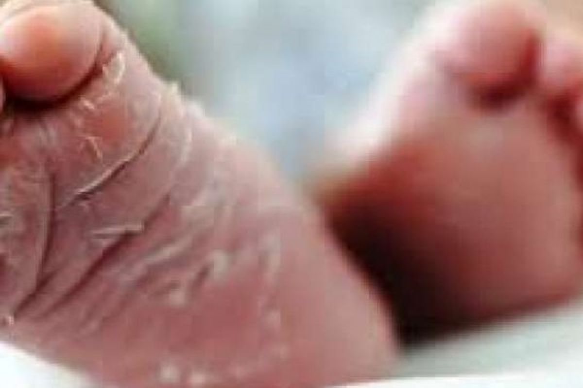 Bayi Di Pekanbaru Ditelantarkan Dalam Kantong Plastik