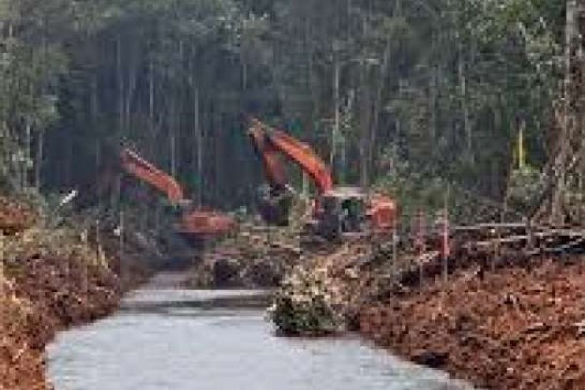 Penutupan Kanal Riau Fokus Di Enam Daerah