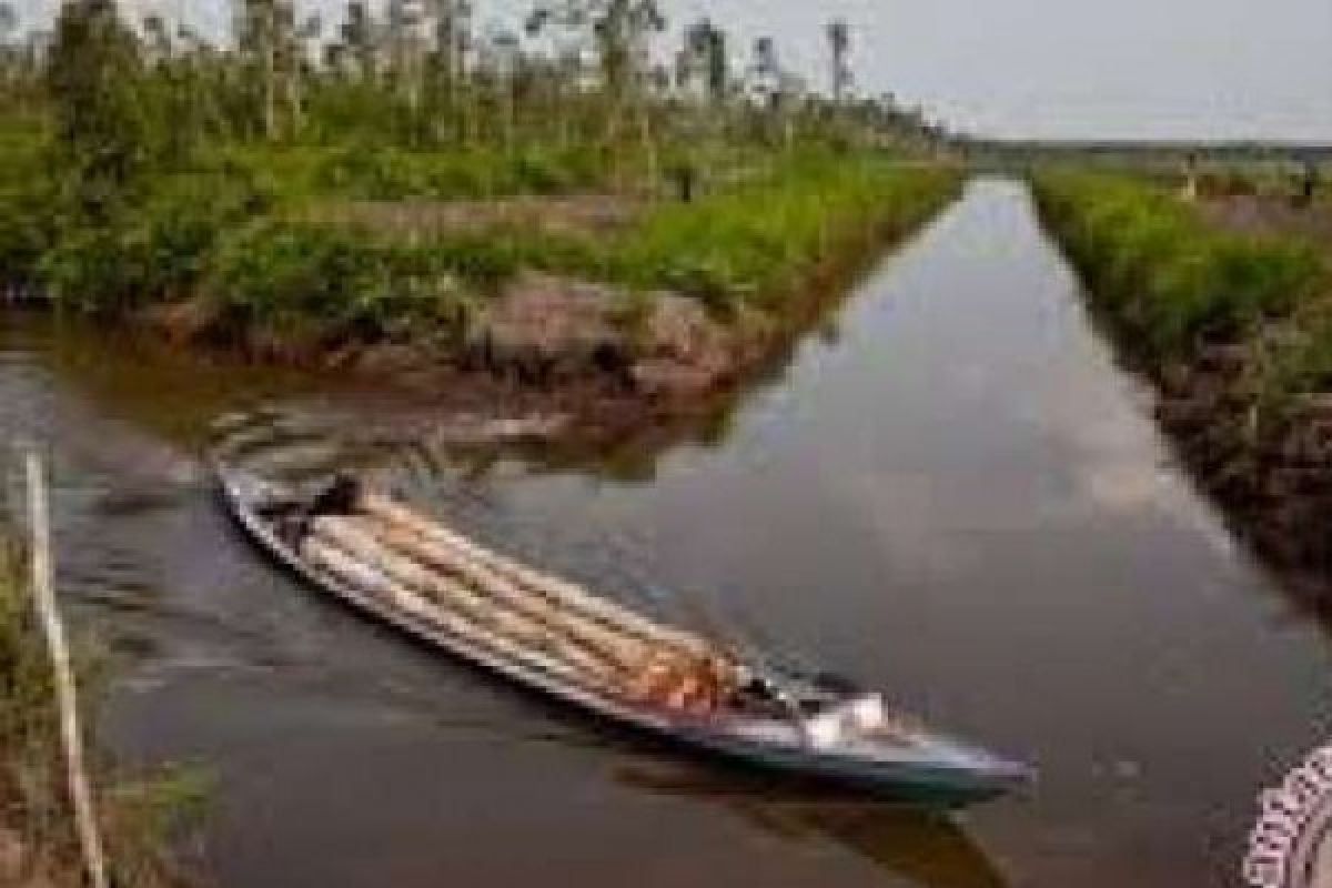 Penutupan Kanal Riau Fokus Di Enam Daerah Bag.2