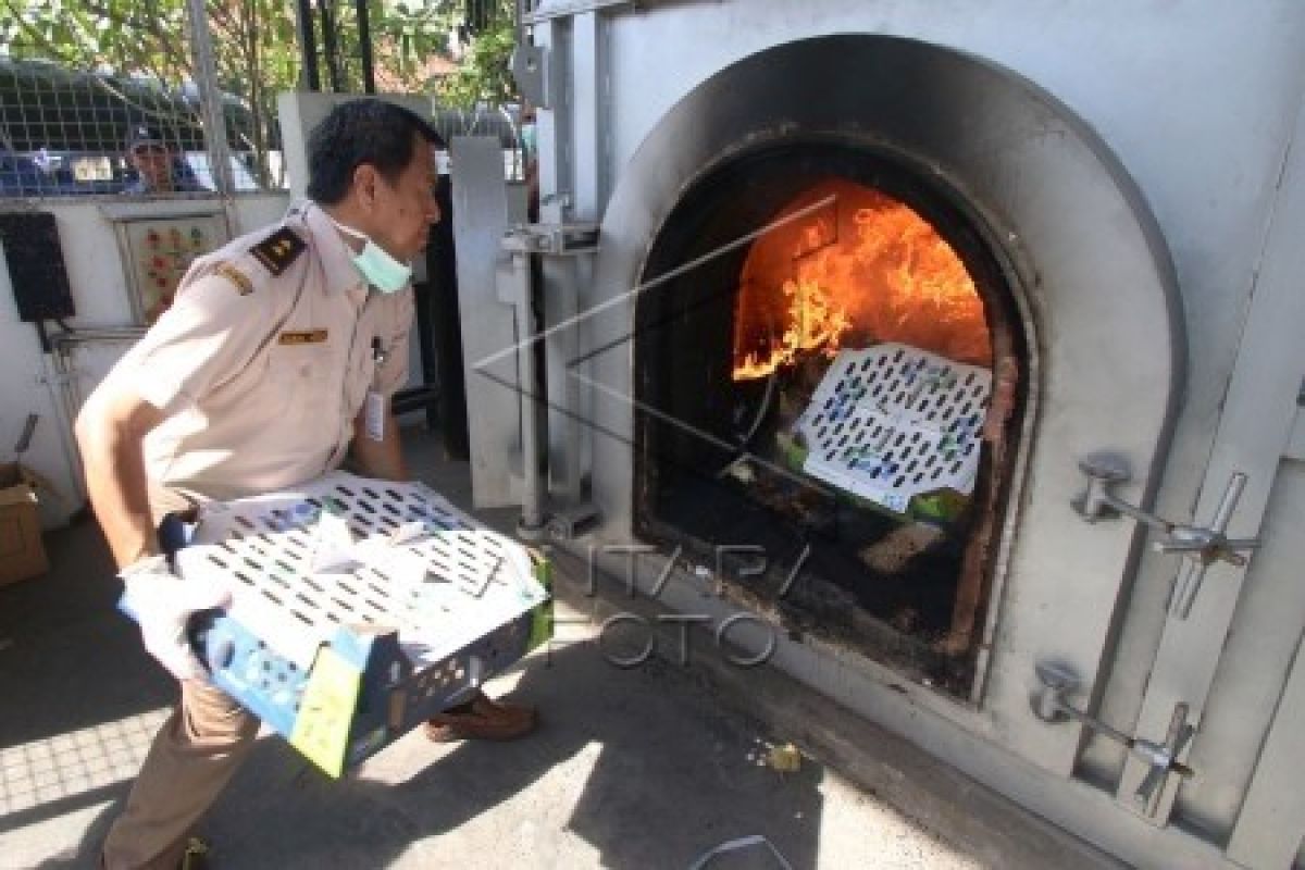 Unggas Di Lingkungan Korban Flu Burung Diperiksa