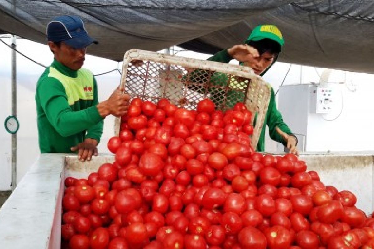 Ewindo Luncurkan Program Alih Teknologi Pertanian