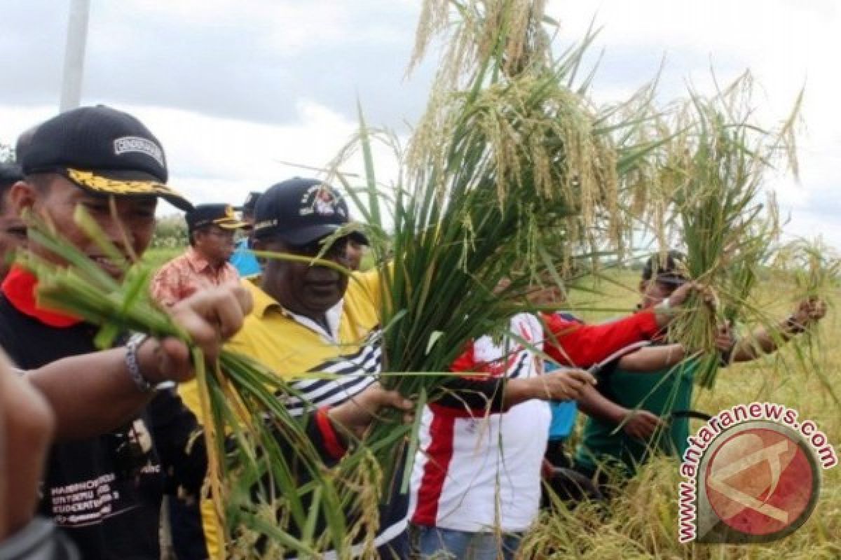 Kabupaten Merauke alami deflasi 1,03 persen