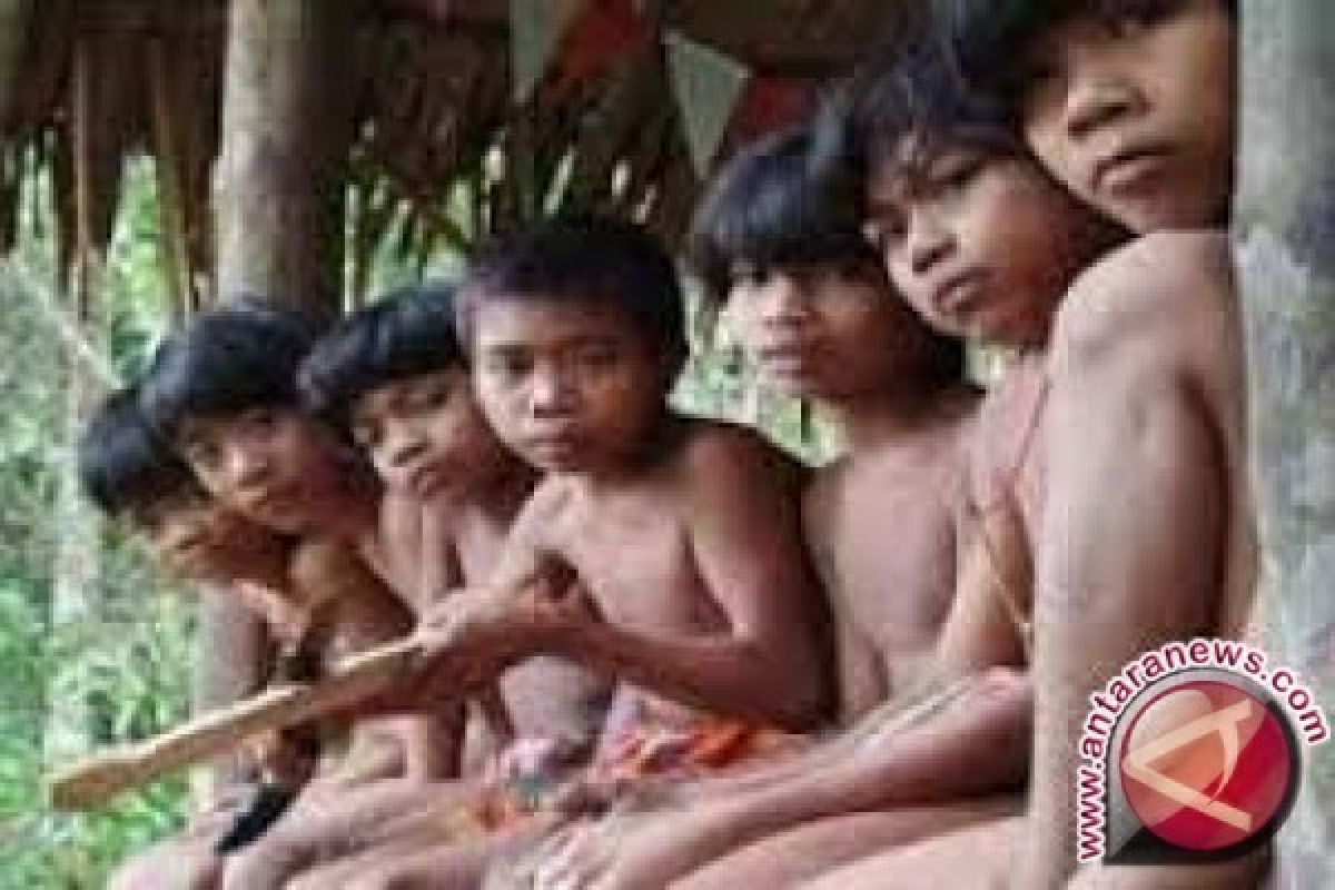 Gubernur Jambi dorong Orang Rimba hidup menetap