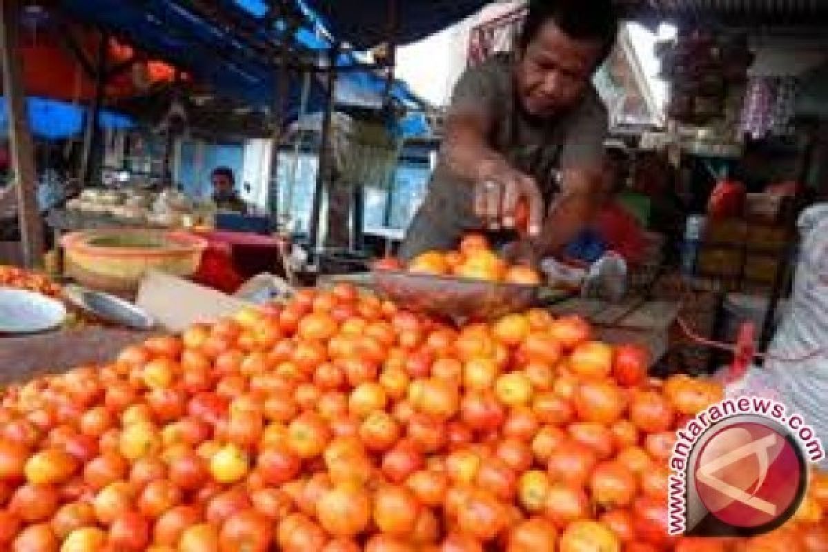 Mengonsumsi tomat bisa cegah kanker 