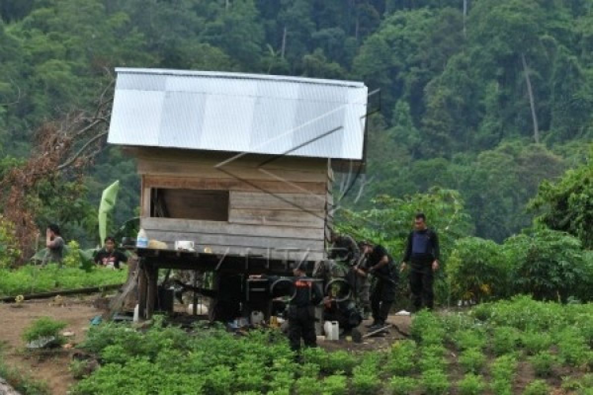 Kontak senjata TNI/Polri dengan KKB terjadi lagi