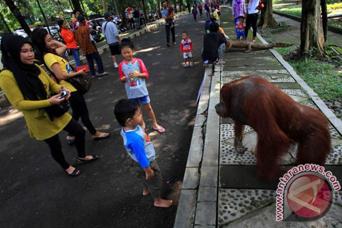 Taman Satwa Taru Jurug kerja sama "GL-Zoo"