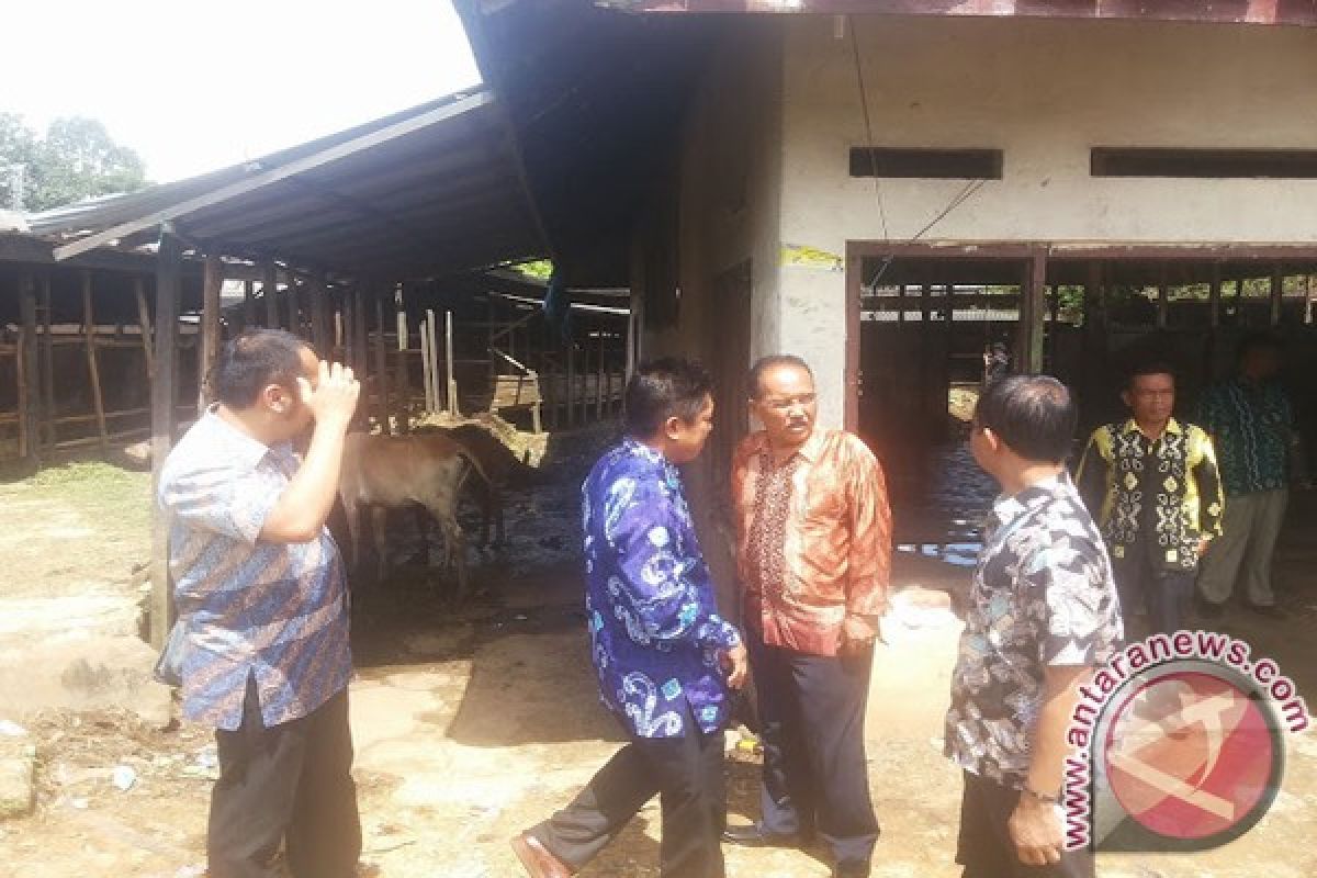 DPRD Banjarmasin terima keluhan bau limbah RPH