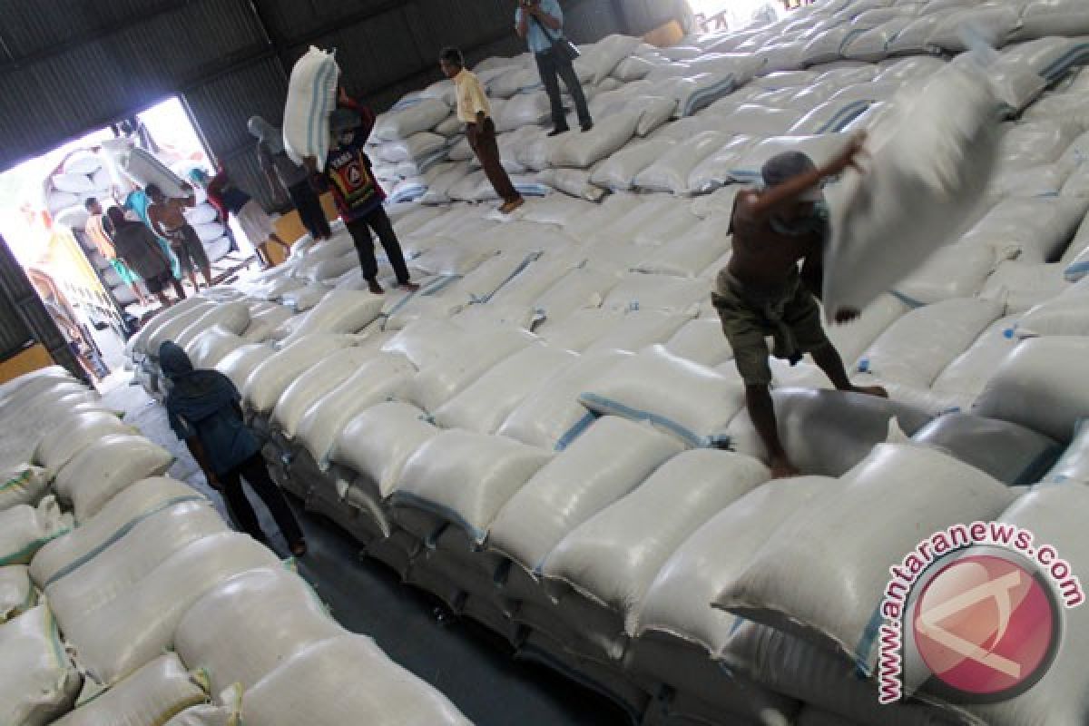 Indonesia to not import rice any longer