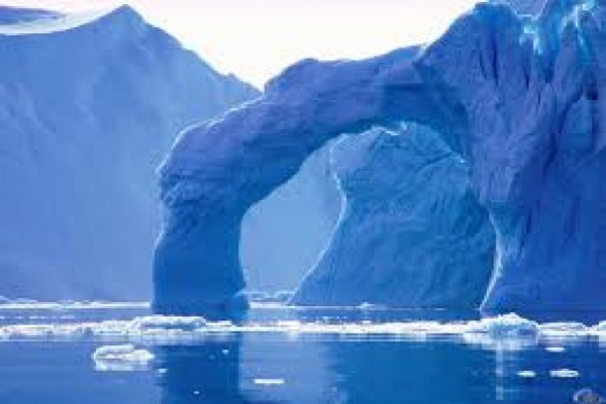 Temperatur Hangat Kutub Utara Ancam Singa Laut