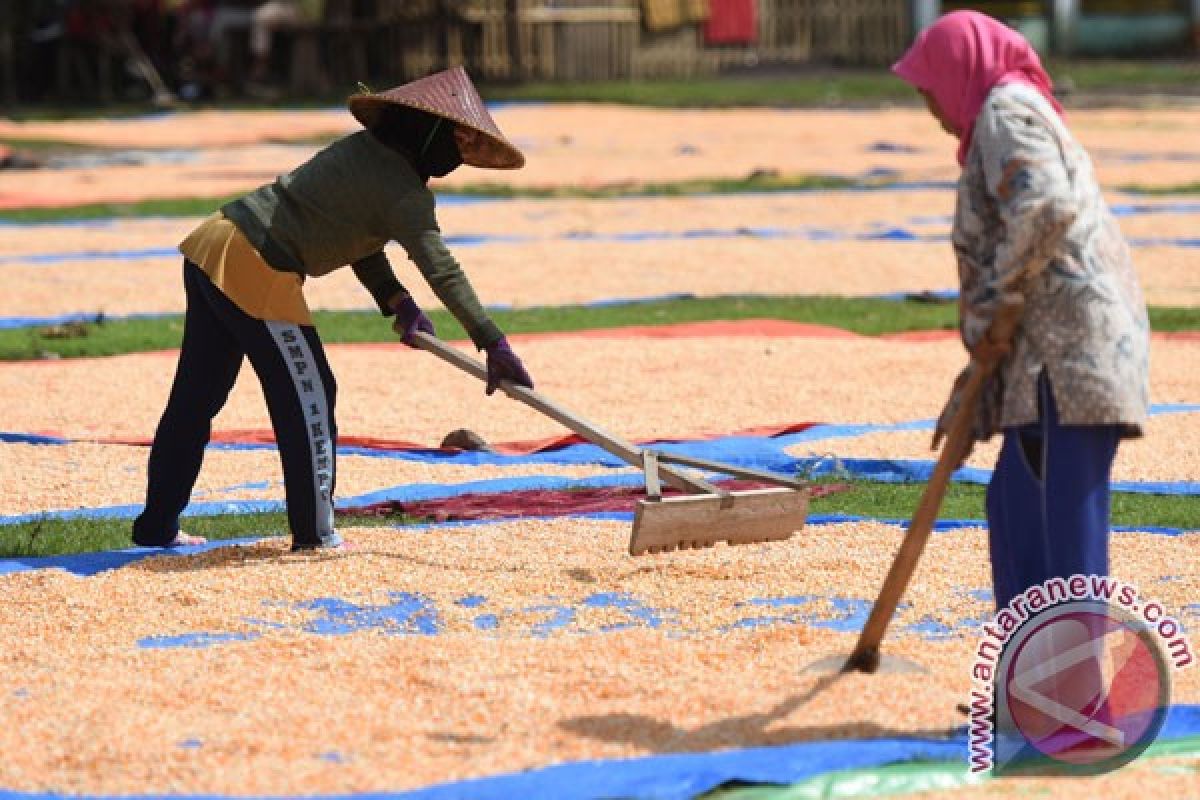 Mentan: mekanisasi pangkas 20 persen ongkos produksi