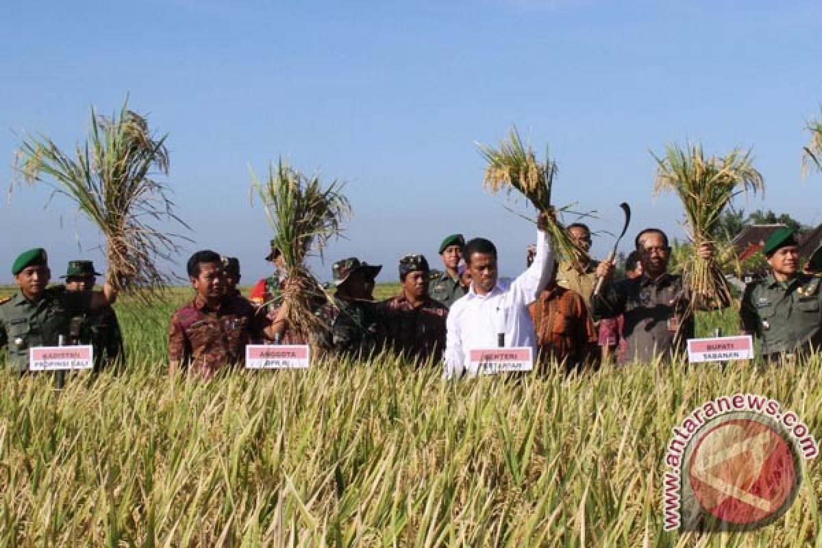 Indonesia Tidak Lagi Impor Beras