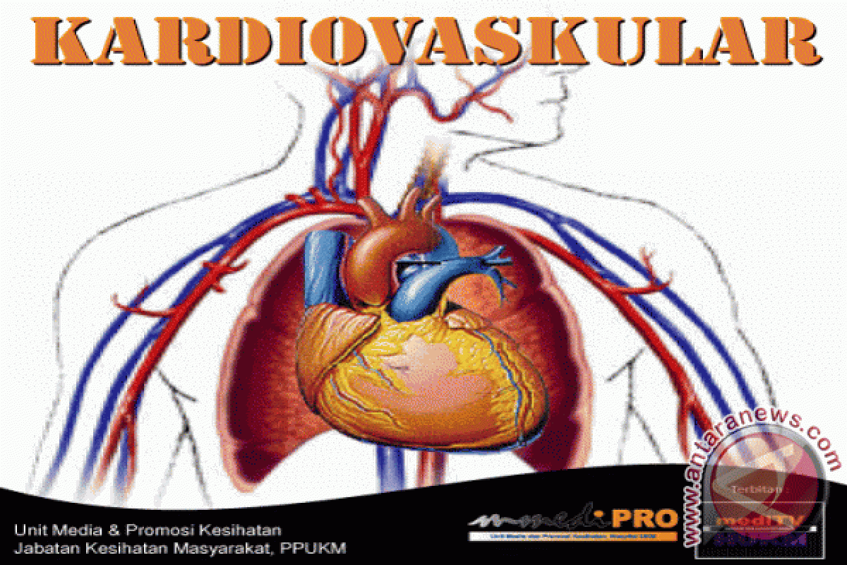 Cara Mudah Bantu Halau Penyakit Kardiovaskular