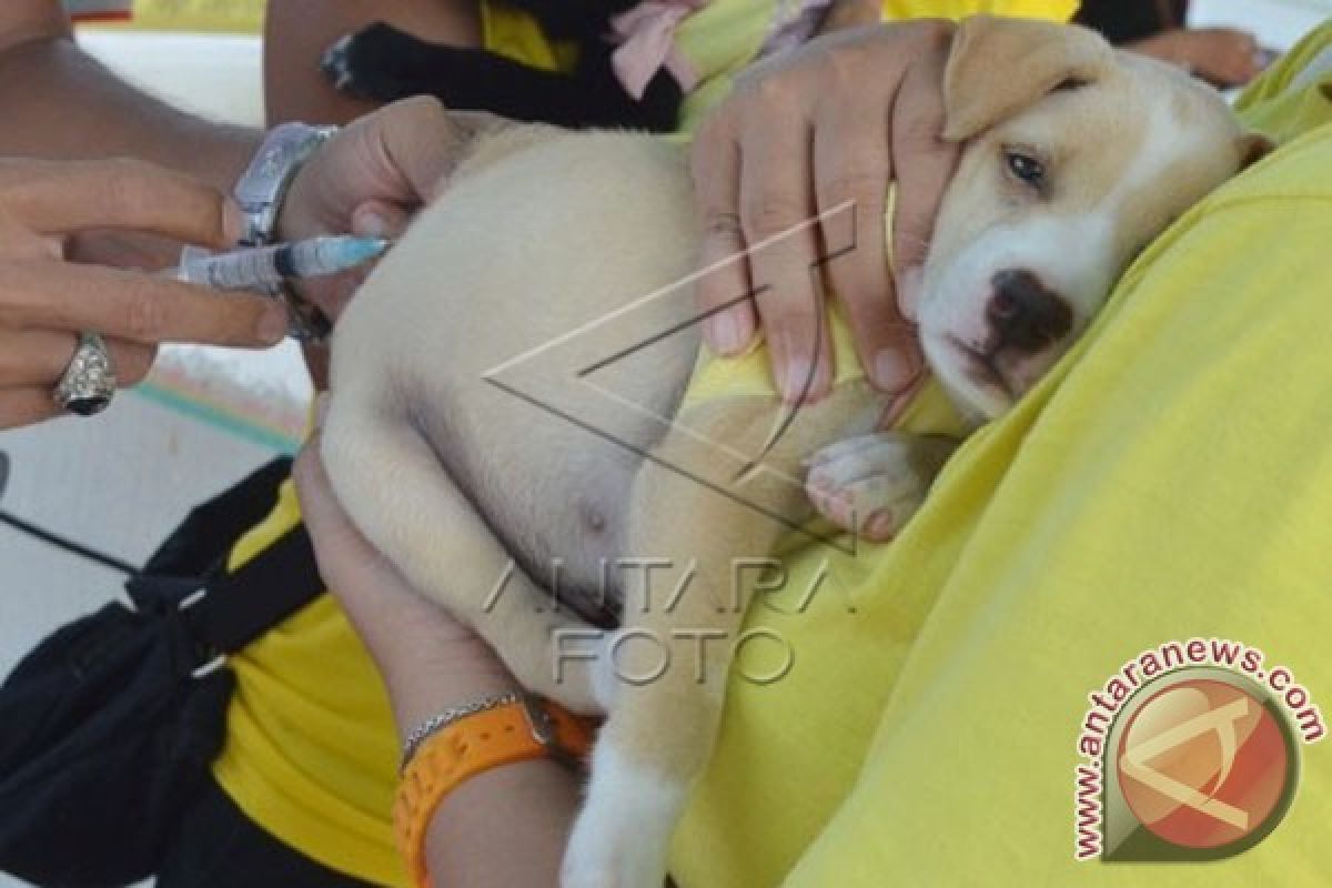 Disnakeswan Minta Masyarakat Jangan Anti-Eliminasi Anjing