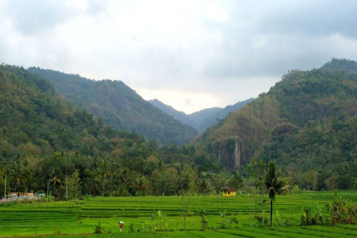 Bedah menoreh menghubungkan bandara-hutan pinus-Borobudur