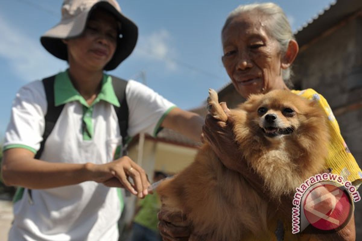 Kalbar-Sarawak gelar vaksinasi massal rabies di Entikong