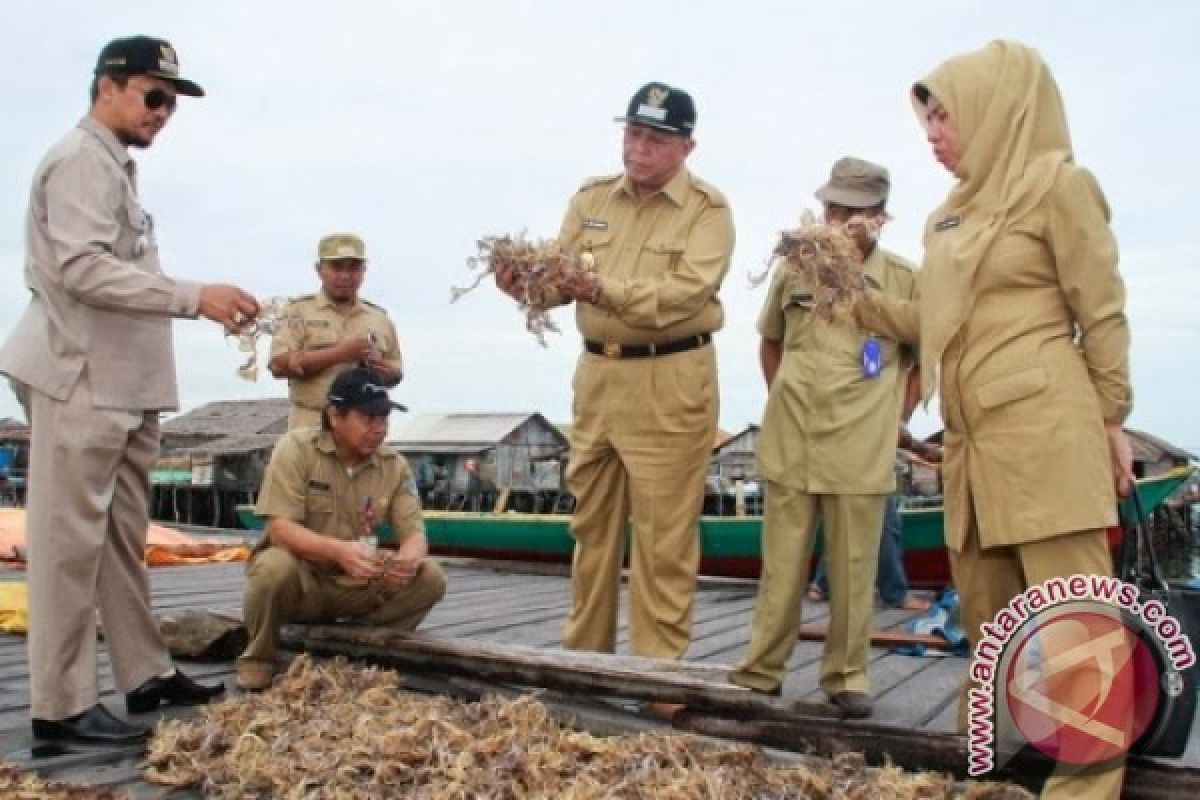 Disperindagkop Bontang Beri Pelatihan Petani Rumput Laut