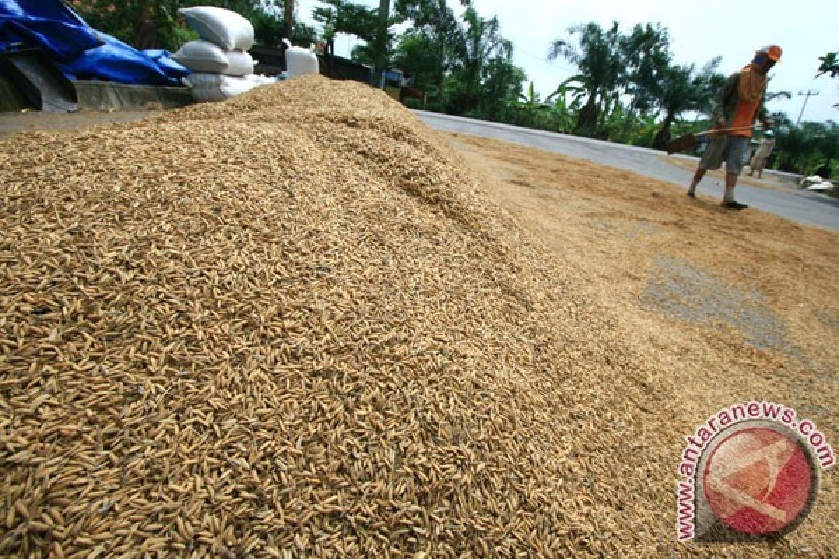 Tim Sergab Kementan borong gabah petani Sukabumi