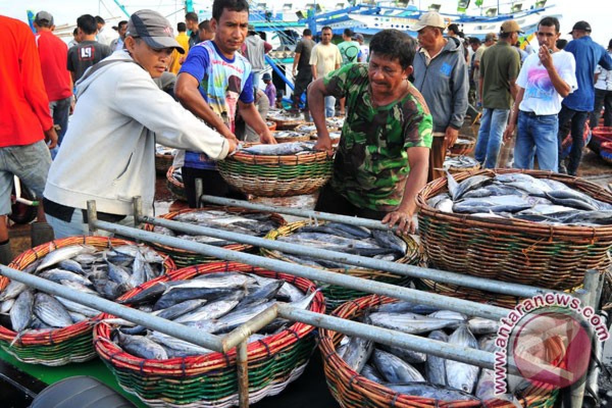 Komisi IV dukung optimalisasi Pelabuhan Lampulo