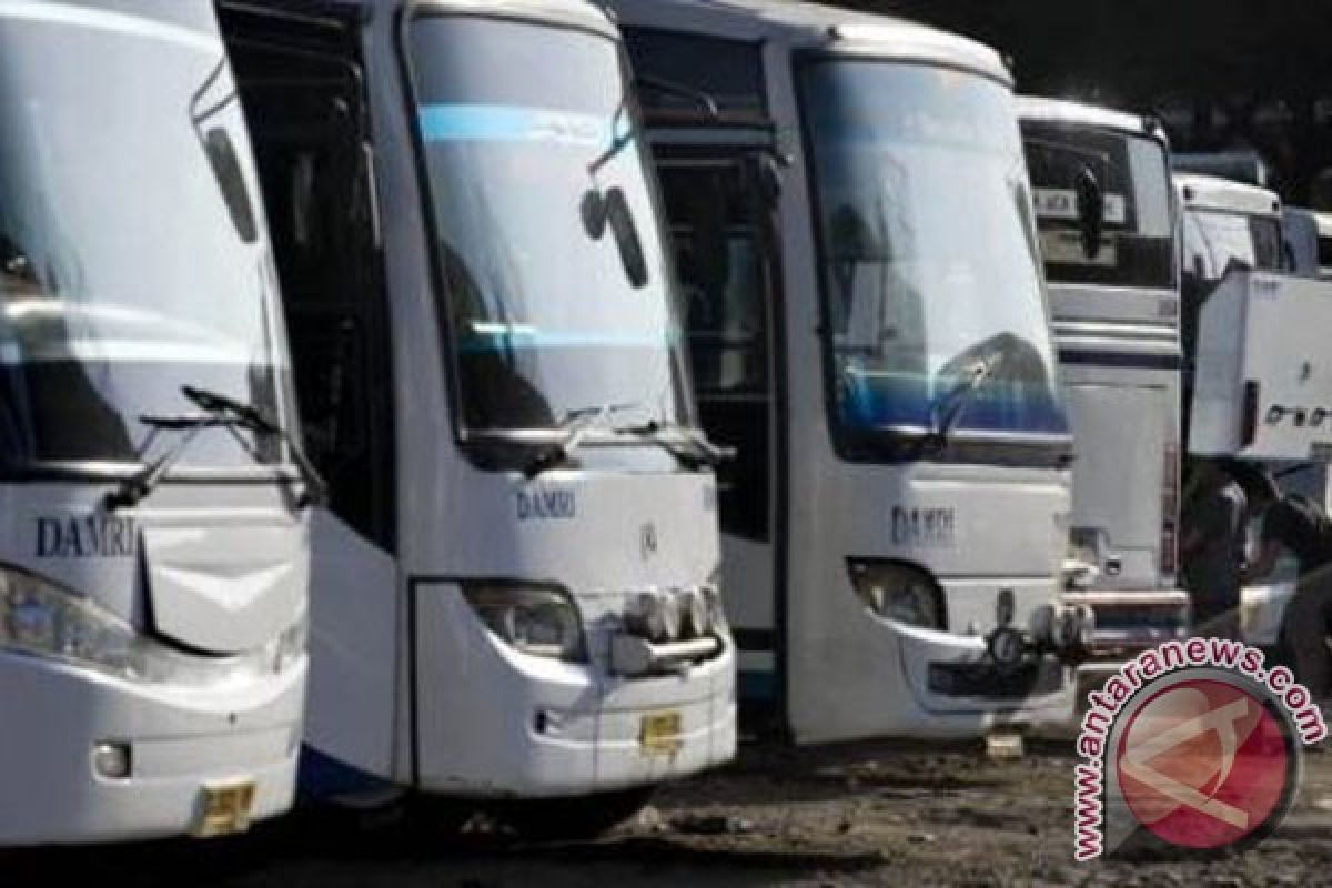 Sulbar butuh Damri 20 unit dari Pusat 