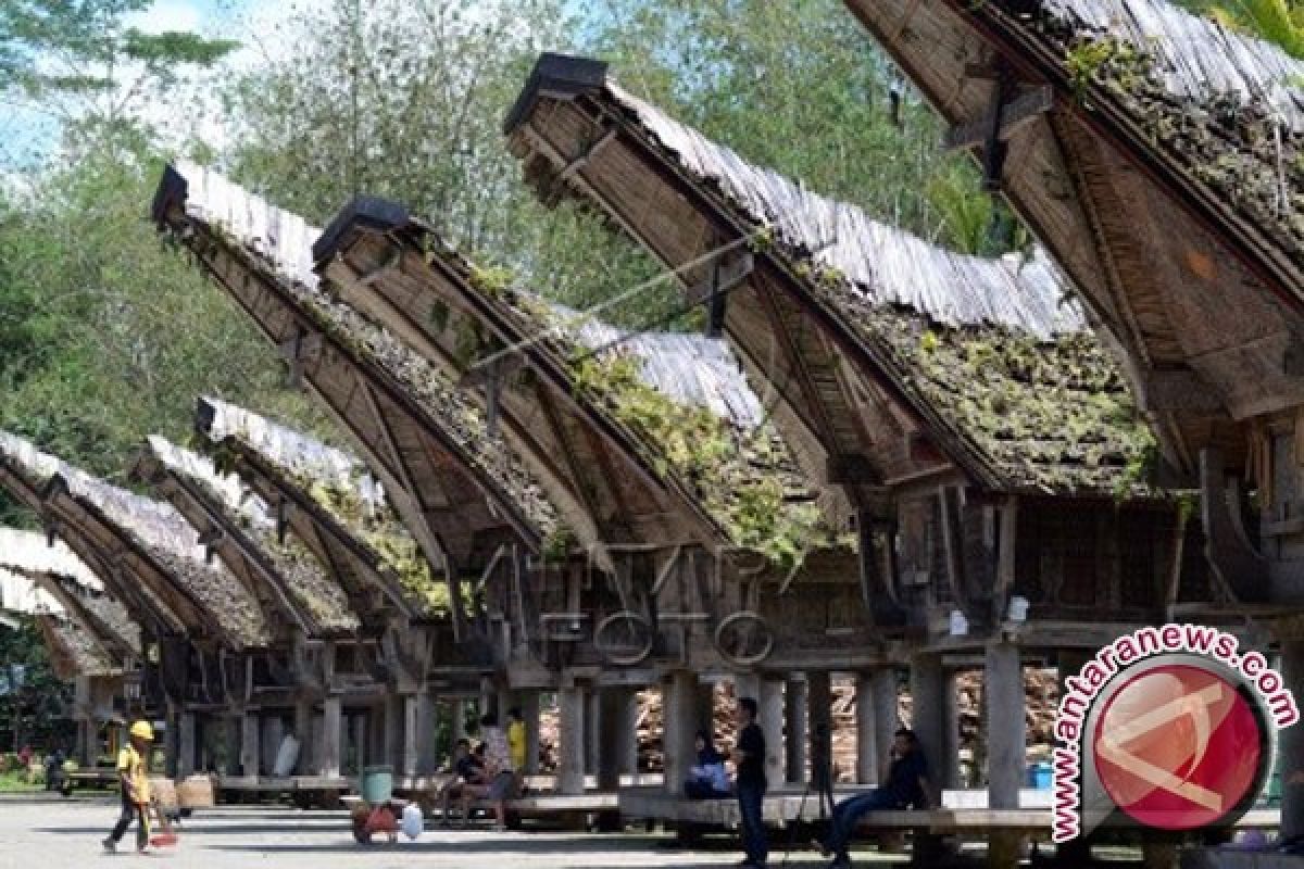 Objek Wisata Unggulan Toraja Utara Bersolek