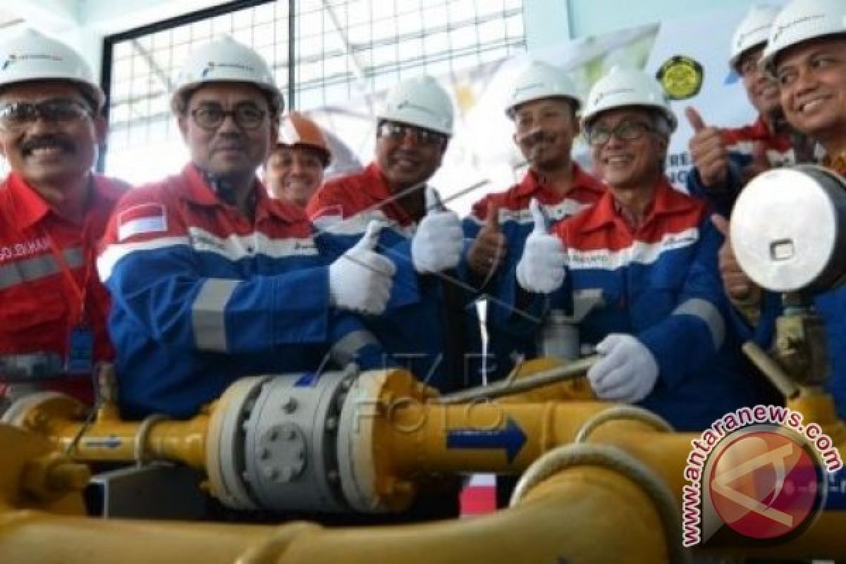 Menteri ESDM resmikan pemakaian City Gas jambi