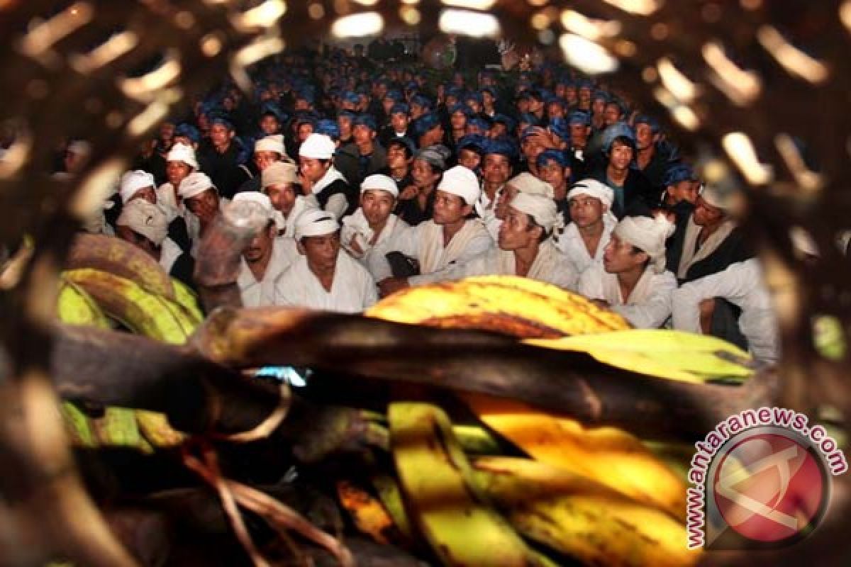 Pernikahan masyarakat Baduy dilaksanakan Juni-Agustus