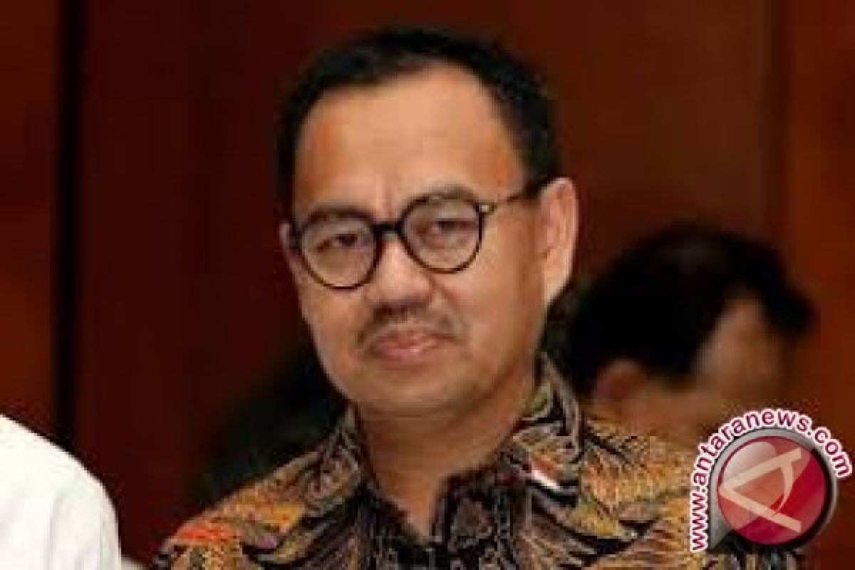 Indonesia butuh Rp2.000 triliun  bangun energi terbarukan 