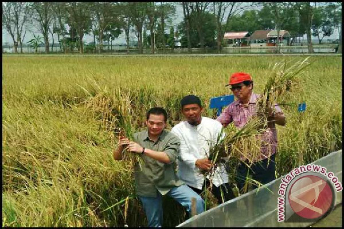 Komisi IV temukan harga pangan masih fluktuatif