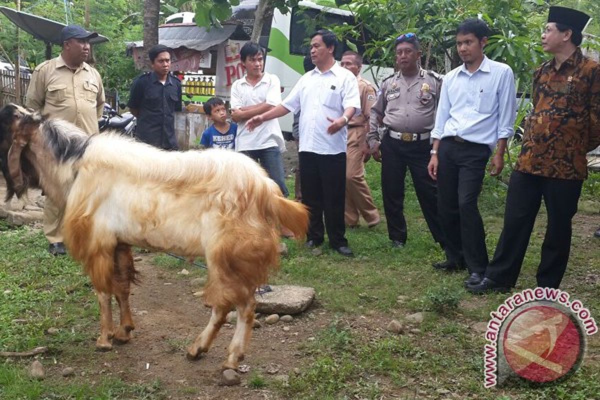 Komisi VIII : 17 kecamatan di Sulbar belum memiliki KUA